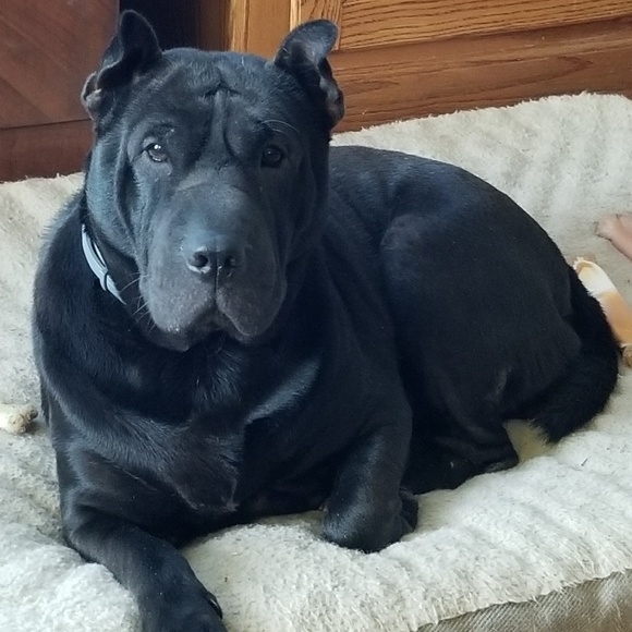 ๐ผMeet your Posher, Tracy๐ - Picture 5 of 8